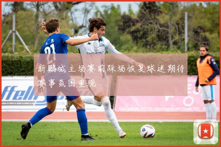新鹏城主场赛前踩场恢复球迷期待赛事氛围重现